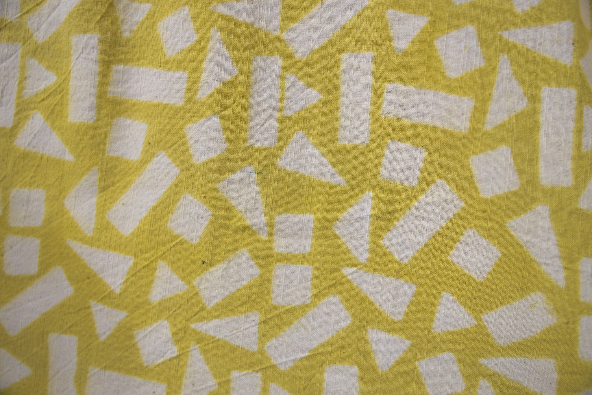 Aloe There Short Sleeved Shirt - Image 4