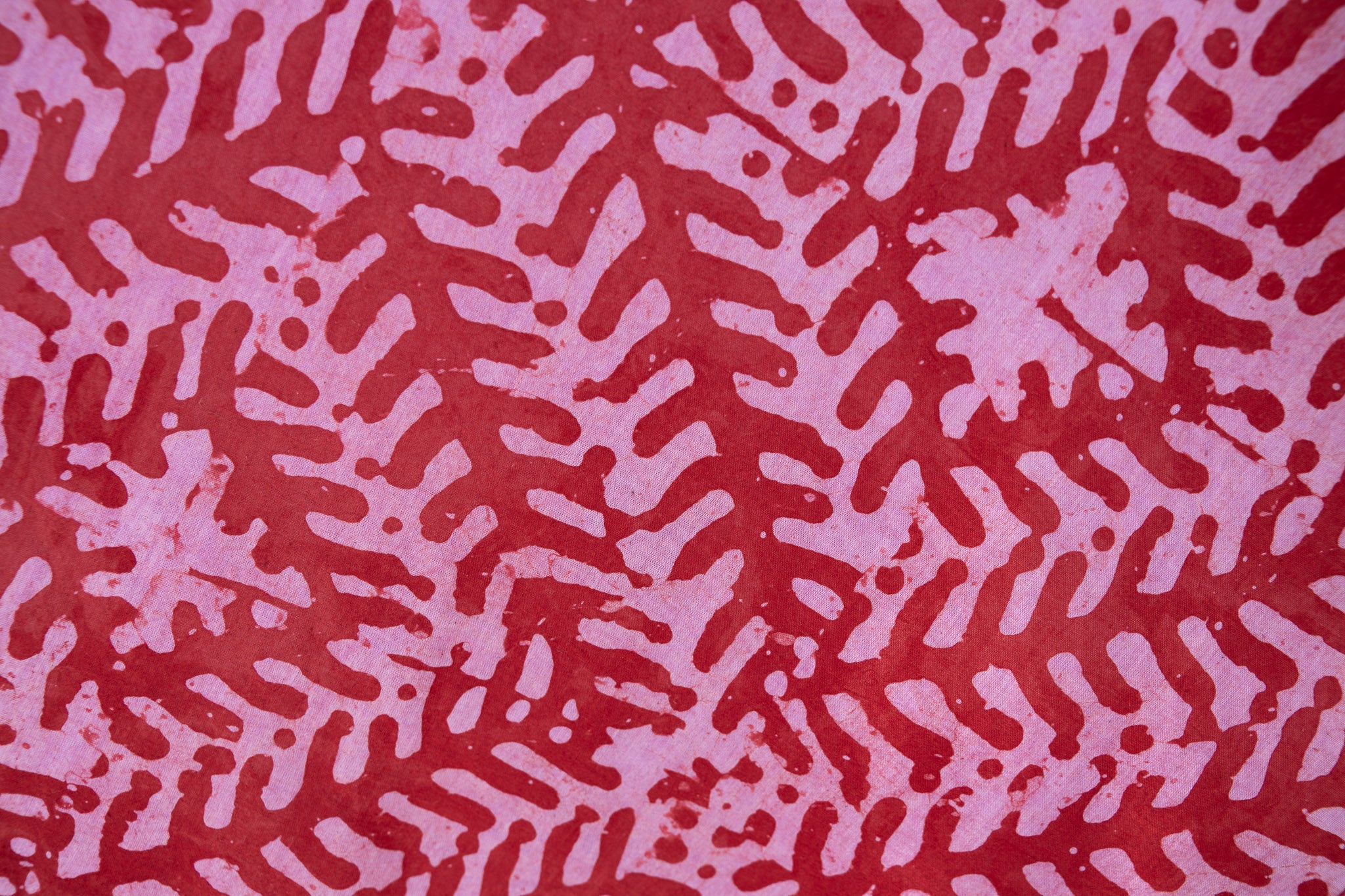 Maraschino - Image 3