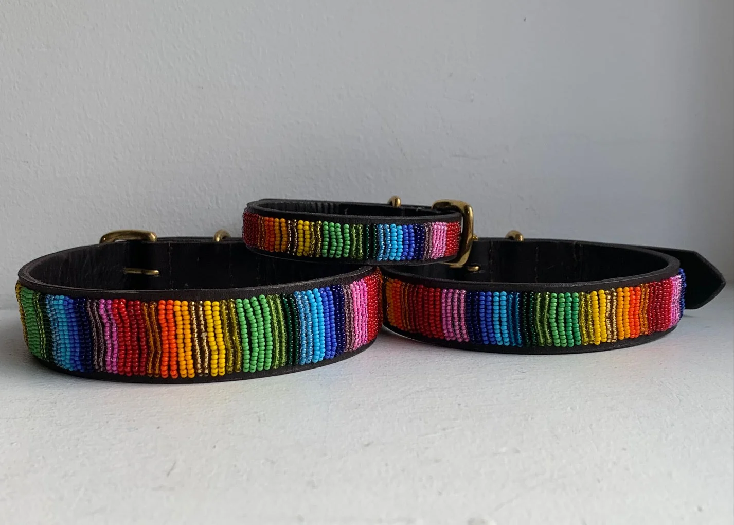Rangi Dog Collar